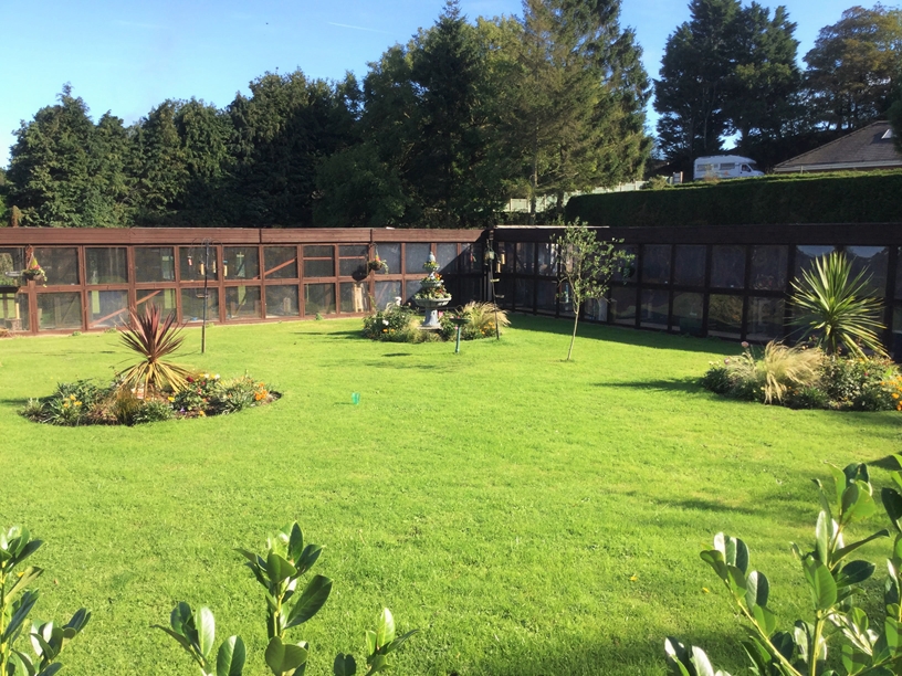 Top cat boarding sales cattery